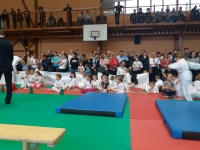 II tura Śląskiej Ligi Judo (2019) Piekary Śląskie