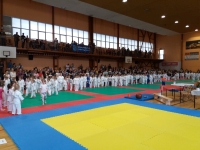 II tura Śląskiej Ligi Judo (2019) Piekary Śląskie