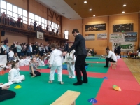 II tura Śląskiej Ligi Judo (2019) Piekary Śląskie