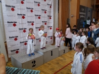 II tura Śląskiej Ligi Judo (2019) Piekary Śląskie