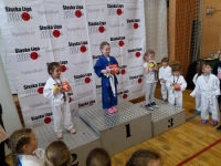 II tura Śląskiej Ligi Judo (2019) Piekary Śląskie