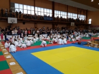 II tura Śląskiej Ligi Judo (2019) Piekary Śląskie