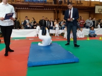II tura Śląskiej Ligi Judo (2019) Piekary Śląskie