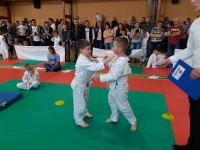 II tura Śląskiej Ligi Judo (2019) Piekary Śląskie