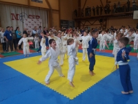 II tura Śląskiej Ligi Judo (2019) Piekary Śląskie