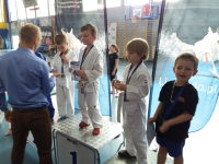 III tura Śląskiej Ligi Judo (2019) Radzionków