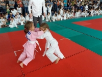 III tura Śląskiej Ligi Judo (2019) Radzionków