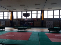 III tura Śląskiej Ligi Judo (2019) Radzionków