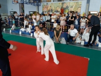 III tura Śląskiej Ligi Judo (2019) Radzionków