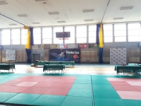 III tura Śląskiej Ligi Judo (2019) Radzionków
