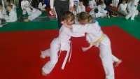 III tura Śląskiej Ligi Judo (2019) Radzionków