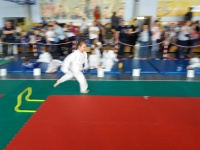 III tura Śląskiej Ligi Judo (2019) Radzionków