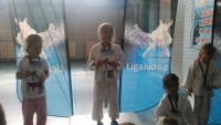 III tura Śląskiej Ligi Judo (2019) Radzionków