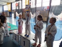 III tura Śląskiej Ligi Judo (2019) Radzionków