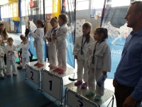 III tura Śląskiej Ligi Judo (2019) Radzionków