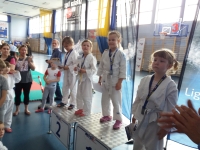 III tura Śląskiej Ligi Judo (2019) Radzionków