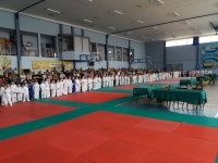 III tura Śląskiej Ligi Judo (2019) Radzionków