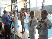 III tura Śląskiej Ligi Judo (2019) Radzionków