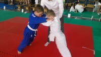 III tura Śląskiej Ligi Judo (2019) Radzionków