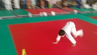III tura Śląskiej Ligi Judo (2019) Radzionków