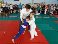 III tura Śląskiej Ligi Judo (2019) Radzionków