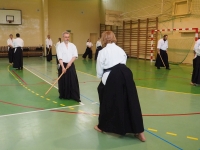 Seminarium Shinkendo pod kierunkiem kyoshi Rolanda Lajosa (2019) Świętochłowice