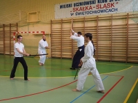 Seminarium Shinkendo pod kierunkiem kyoshi Rolanda Lajosa (2019) Świętochłowice