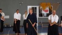 Seminarium Shinkendo pod kierunkiem kyoshi Rolanda Lajosa (2019) Knurów
