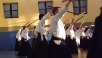 Seminarium Shinkendo pod kierunkiem kyoshi Rolanda Lajosa (2019) Knurów
