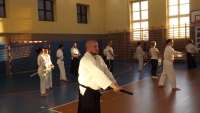 Seminarium Shinkendo pod kierunkiem kyoshi Rolanda Lajosa (2019) Knurów