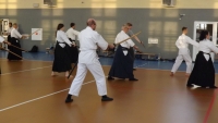 Seminarium Shinkendo pod kierunkiem kyoshi Rolanda Lajosa (2019) Knurów