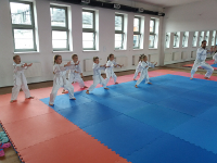 Wakacyjny trening karate (19.07.2019)