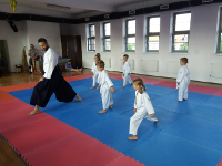 Wakacyjny trening sztuki miecza - shinkendo (09.08.2019)