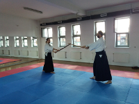 Wakacyjny trening sztuki miecza - shinkendo (09.08.2019)