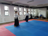 Wakacyjny trening sztuki miecza - shinkendo (09.08.2019)