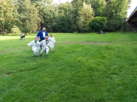 Trening w Parku Poległych Bohaterów (20.09.2019)